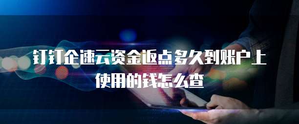 钉钉企速云资金返点多久到账户上使用的钱怎么查