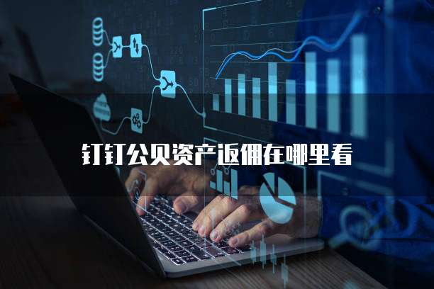 钉钉公贝资产返佣在哪里看