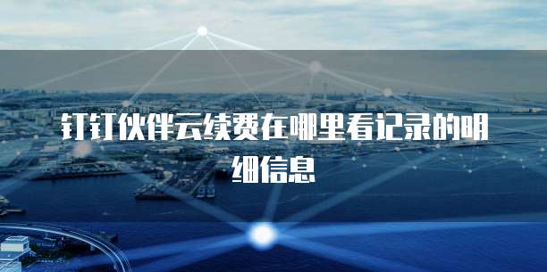 钉钉伙伴云续费在哪里看记录的明细信息