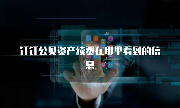 钉钉公贝资产续费在哪里看到的信息