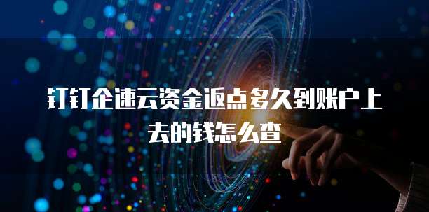 钉钉企速云资金返点多久到账户上去的钱怎么查