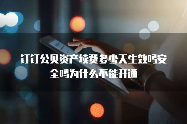 钉钉公贝资产续费多少天生效吗安全吗为什么不能开通