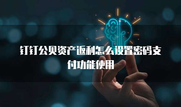 钉钉公贝资产返利怎么设置密码支付功能使用