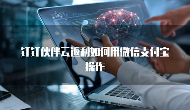 钉钉伙伴云返利如何用微信支付宝操作