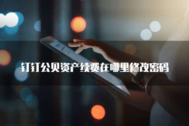 钉钉公贝资产续费在哪里修改密码