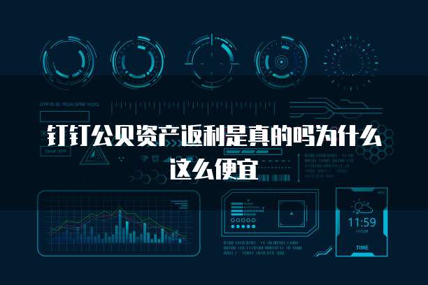 钉钉公贝资产返利是真的吗为什么这么便宜