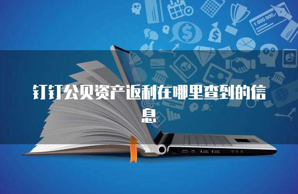 钉钉公贝资产返利在哪里查到的信息