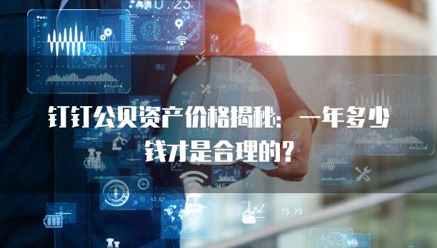 钉钉公贝资产价格揭秘:一年多少钱才是合理的?
