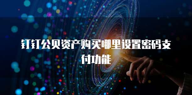钉钉公贝资产购买哪里设置密码支付功能