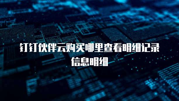 钉钉伙伴云购买哪里查看明细记录信息明细