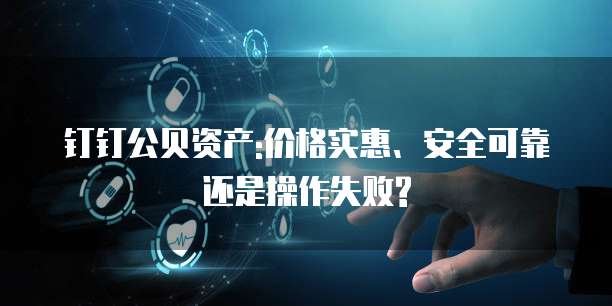 钉钉公贝资产:价格实惠、安全可靠还是操作失败?