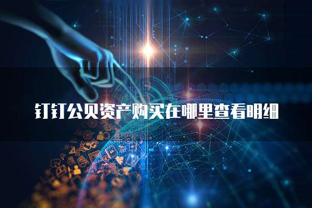 钉钉公贝资产购买在哪里查看明细