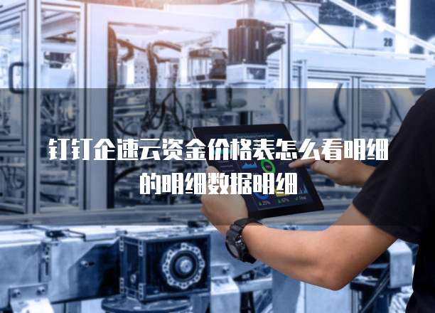 钉钉企速云资金价格表怎么看明细的明细数据明细