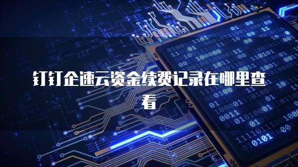 钉钉企速云资金续费记录在哪里查看
