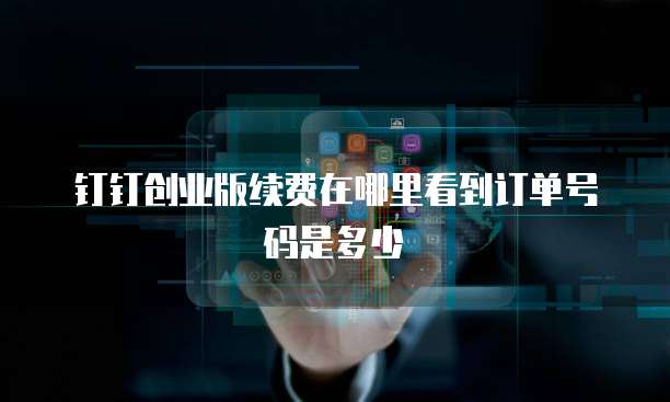 钉钉创业版续费在哪里看到订单号码是多少