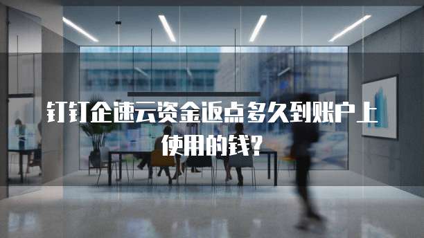 钉钉企速云资金返点多久到账户上使用的钱?
