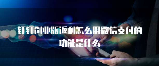 钉钉创业版返利怎么用微信支付的功能是什么
