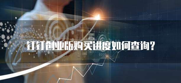 钉钉创业版购买进度如何查询?