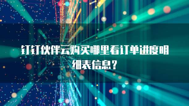 钉钉伙伴云购买哪里看订单进度明细表信息？