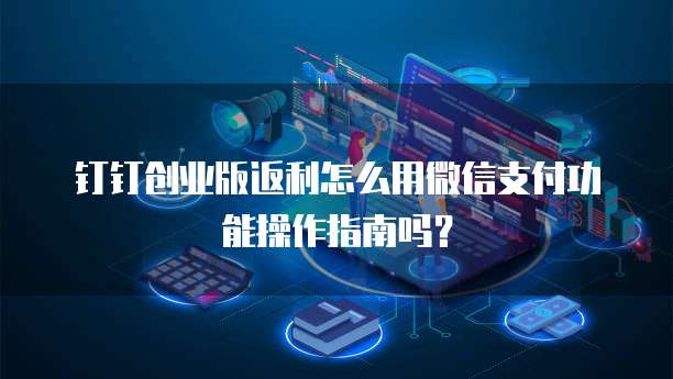 钉钉创业版返利怎么用微信支付功能操作指南吗?