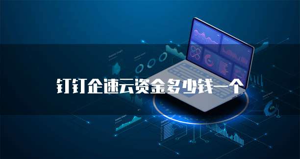 钉钉企速云资金多少钱一个