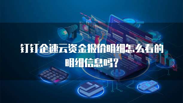 钉钉企速云资金报价明细怎么看的明细信息吗?