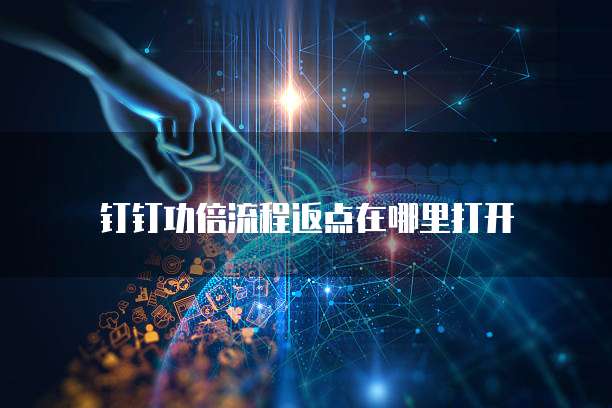 钉钉功倍流程返点在哪里打开