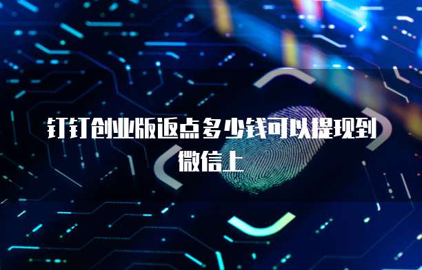 钉钉创业版返点多少钱可以提现到微信上