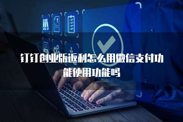 钉钉创业版返利怎么用微信支付功能使用功能吗
