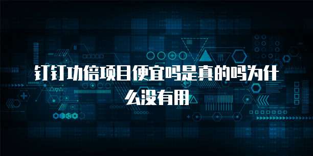 钉钉功倍项目便宜吗是真的吗为什么没有用