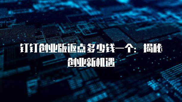 钉钉创业版返点多少钱一个:揭秘创业新机遇