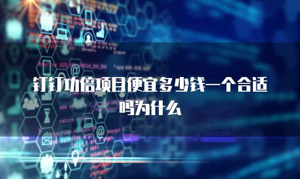 钉钉功倍项目便宜多少钱一个合适吗为什么