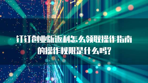 钉钉创业版返利怎么领取操作指南的操作权限是什么吗?