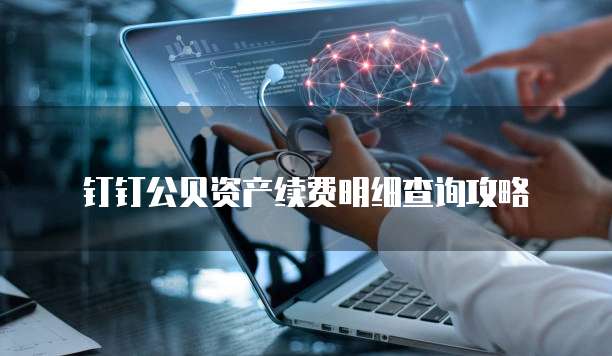 钉钉公贝资产续费明细查询攻略