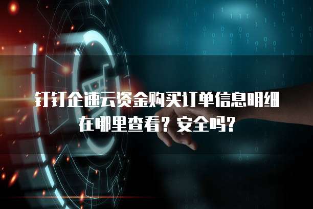 钉钉企速云资金购买订单信息明细在哪里查看?安全吗?