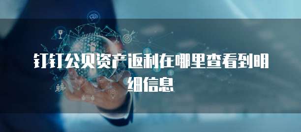 钉钉公贝资产返利在哪里查看到明细信息