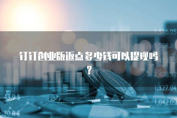 钉钉创业版返点多少钱可以提现吗?