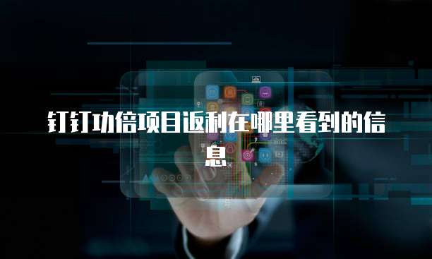 钉钉功倍项目返利在哪里看到的信息