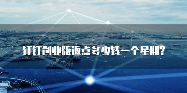 钉钉创业版返点多少钱一个星期?