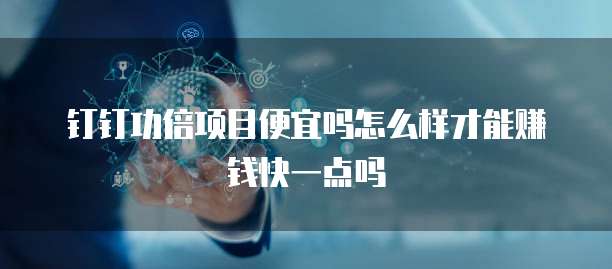 钉钉功倍项目便宜吗怎么样才能赚钱快一点吗