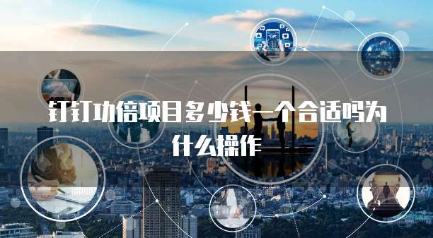 钉钉功倍项目多少钱一个合适吗为什么操作