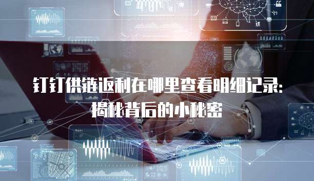 钉钉供链返利在哪里查看明细记录:揭秘背后的小秘密