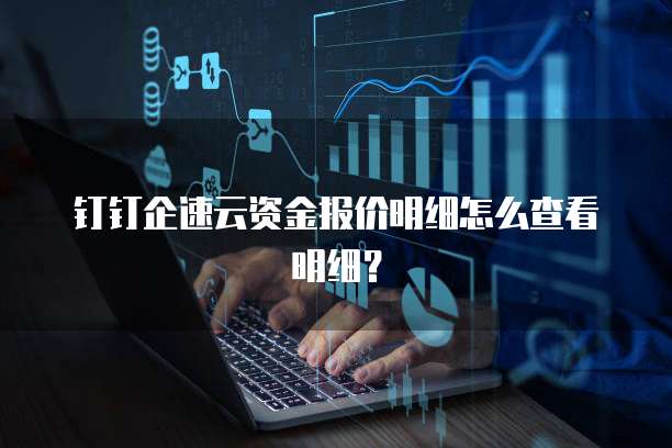 钉钉企速云资金报价明细怎么查看明细？