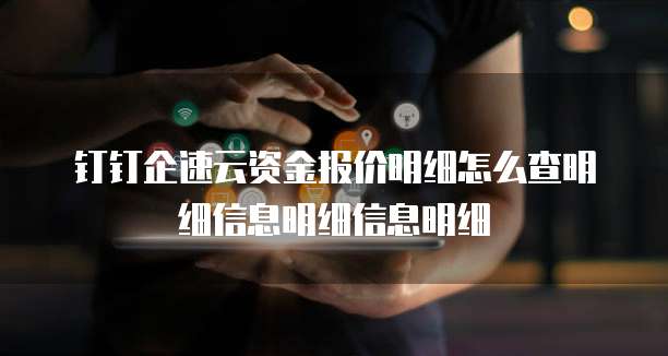 钉钉企速云资金报价明细怎么查明细信息明细信息明细