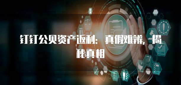 钉钉公贝资产返利：真假难辨，揭秘真相