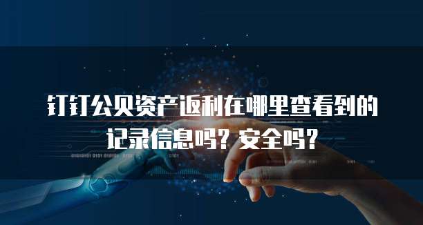 钉钉公贝资产返利在哪里查看到的记录信息吗?安全吗?
