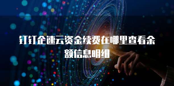 钉钉企速云资金续费在哪里查看余额信息明细