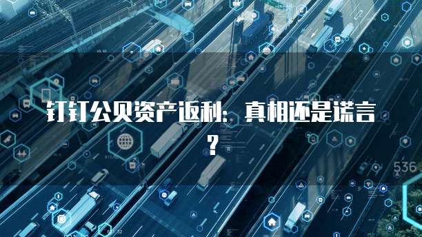 钉钉公贝资产返利:真相还是谎言?