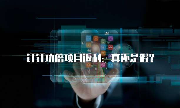 钉钉功倍项目返利:真还是假?