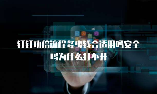 钉钉功倍流程多少钱合适用吗安全吗为什么打不开